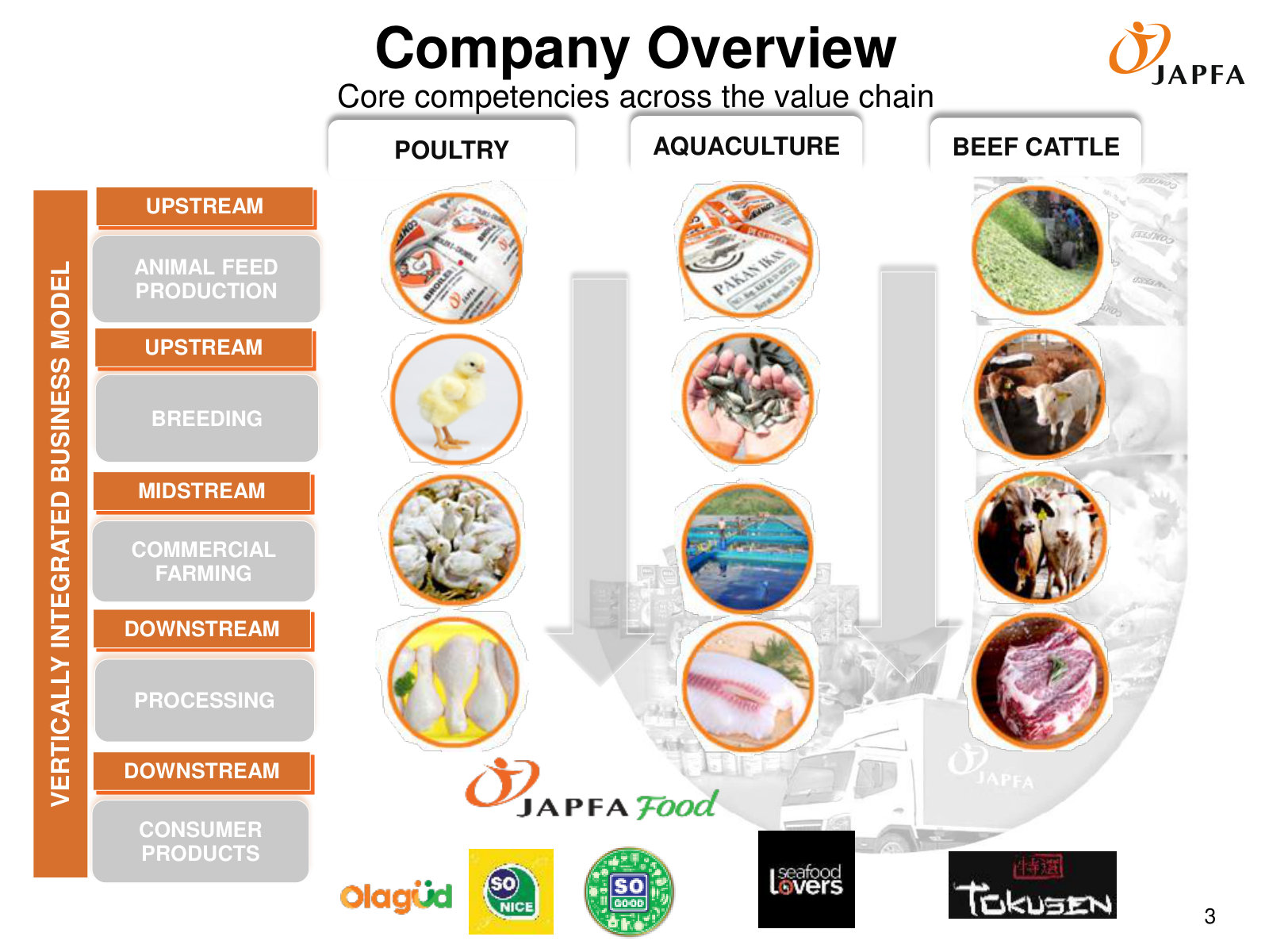 The whole business on one page: a vertically integrated chain — feed, breeding, farming, processing, brands — across poultry, aqua and beef.